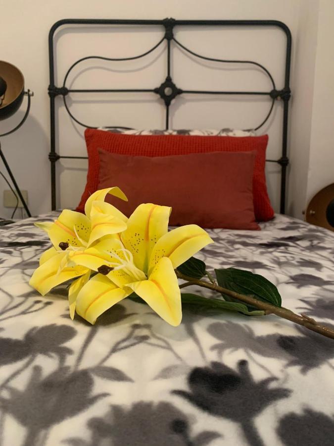 Apartamento Dream Central Plaza Santa Cruz de Tenerife Exterior foto